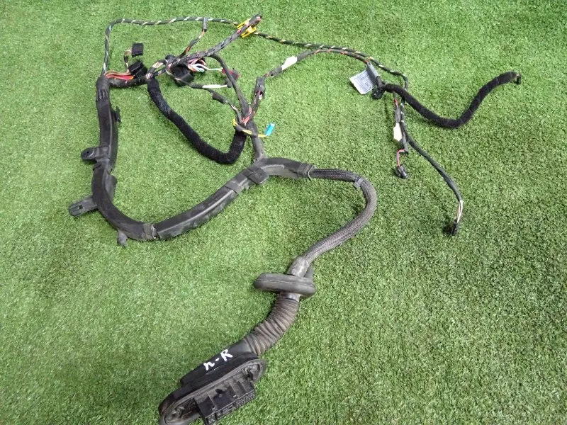 Проводка двери BMW 6-Series 2005 61126973905 E63/E64, передняя правая