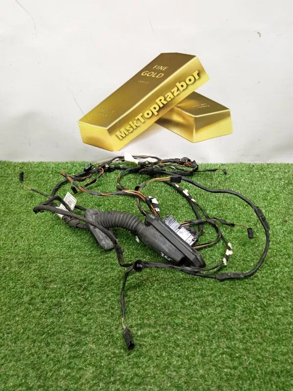 Проводка двери