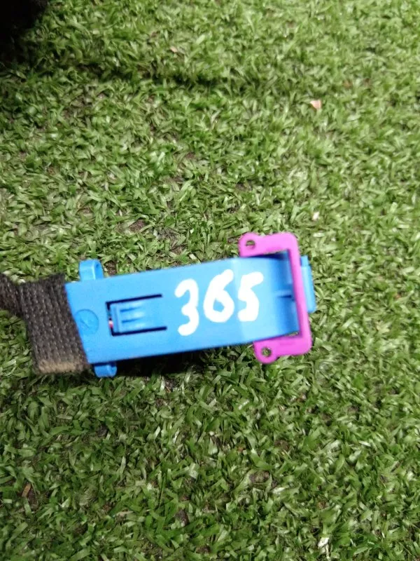 Проводка двери