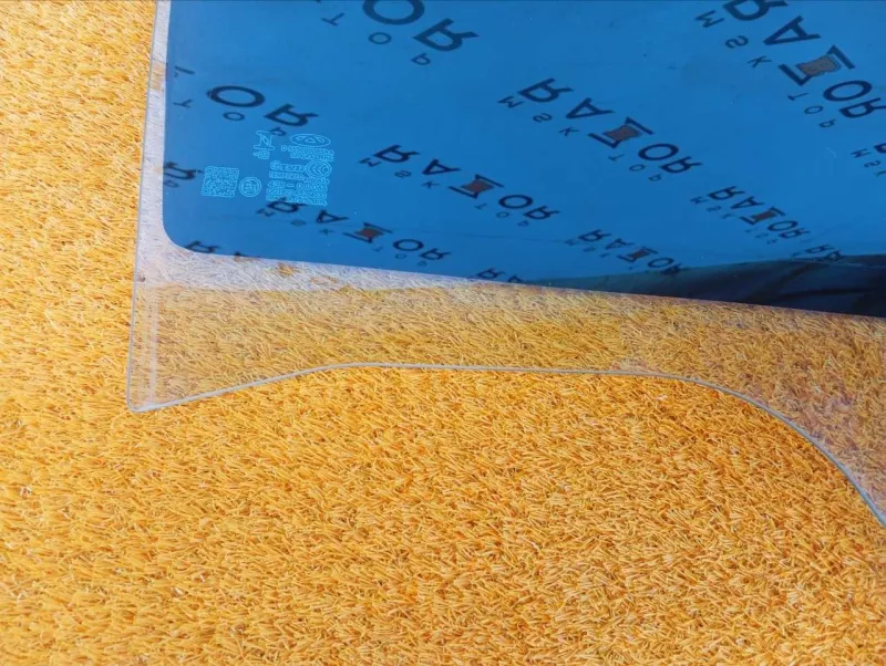 Стекло двери