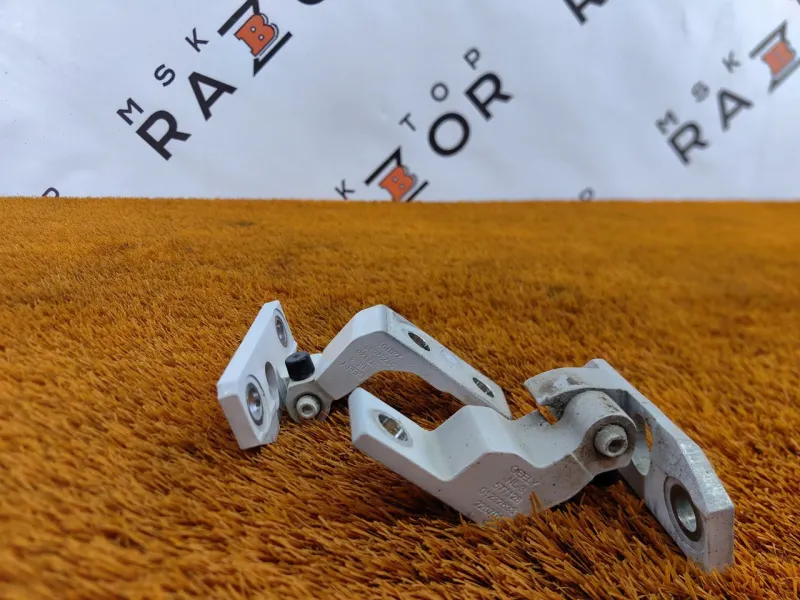 Петля двери