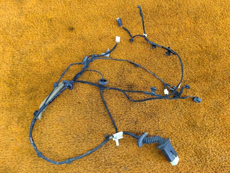 Проводка двери