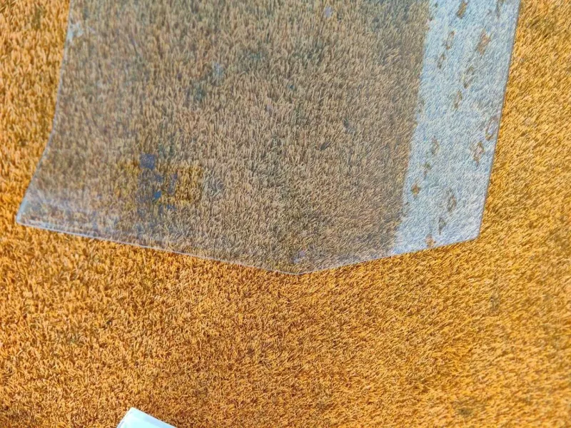 Стекло двери