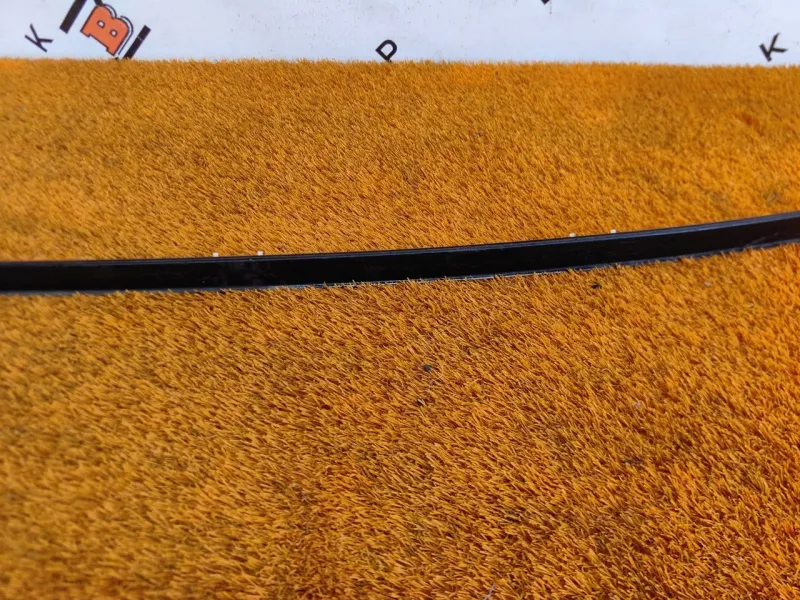 Молдинг крыши