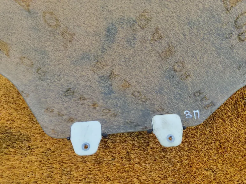 Стекло двери