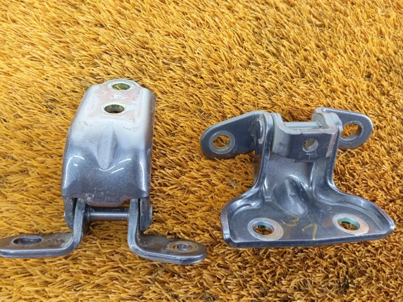 Петля двери