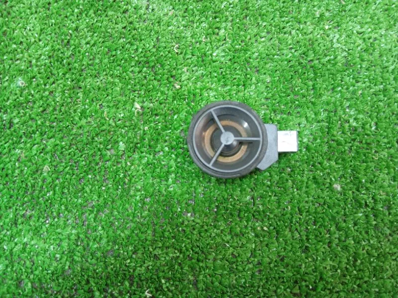 Динамик высокочастотный