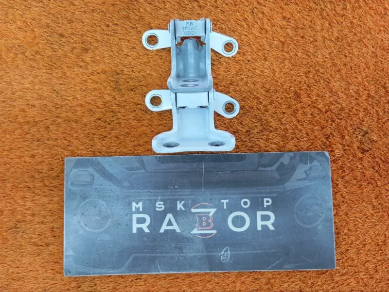 Петля двери