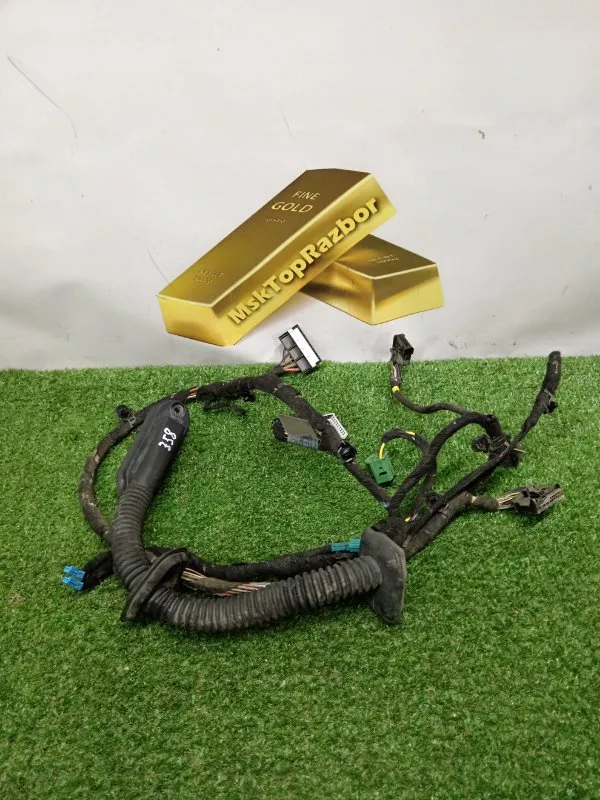 Проводка двери