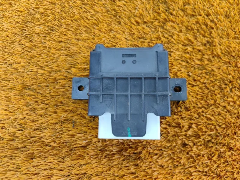 Блок управления топливным насосом