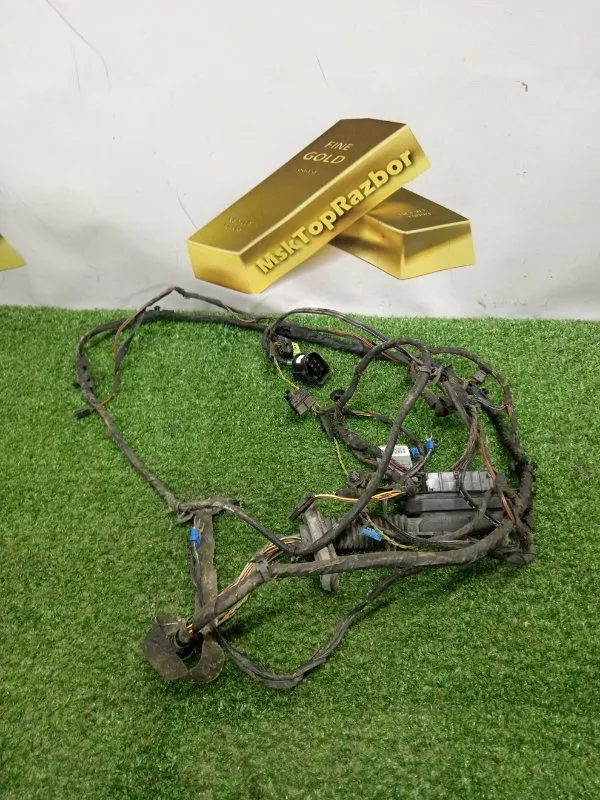 Проводка двери