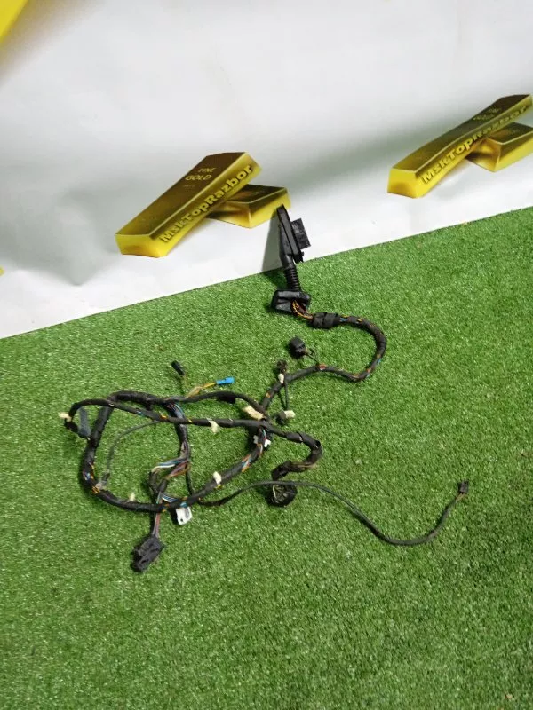 Проводка двери