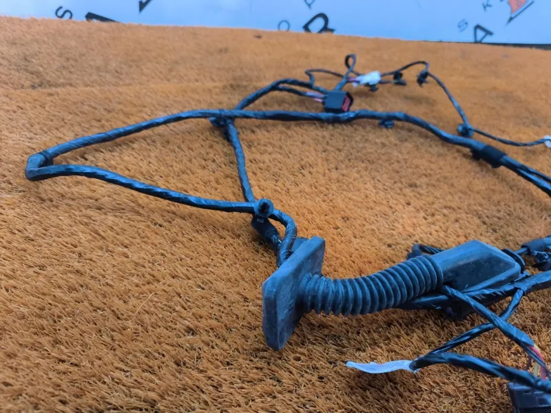 Проводка двери