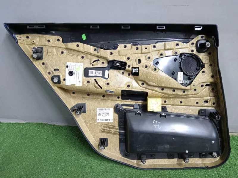 Обшивка двери BMW 5-Series 2010 51427261038 F07, задняя правая