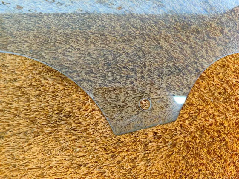 Стекло двери