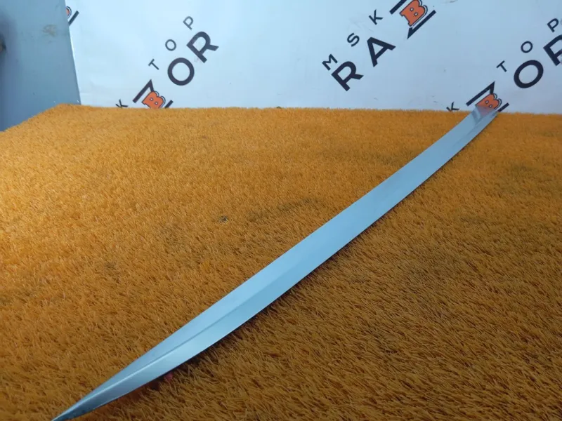 Молдинг крыши