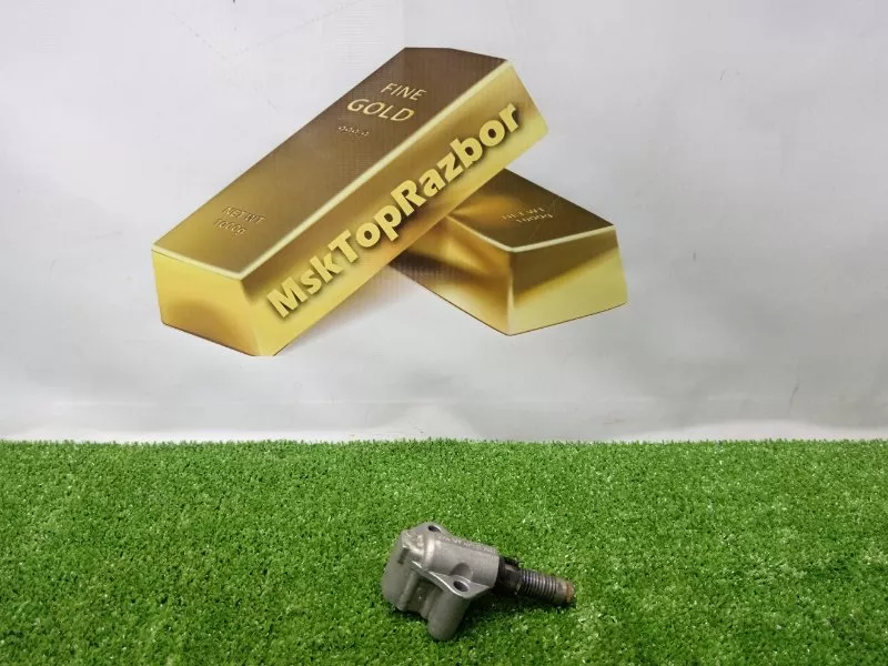 Натяжитель цепи ГРМ