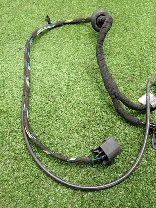 Проводка двери