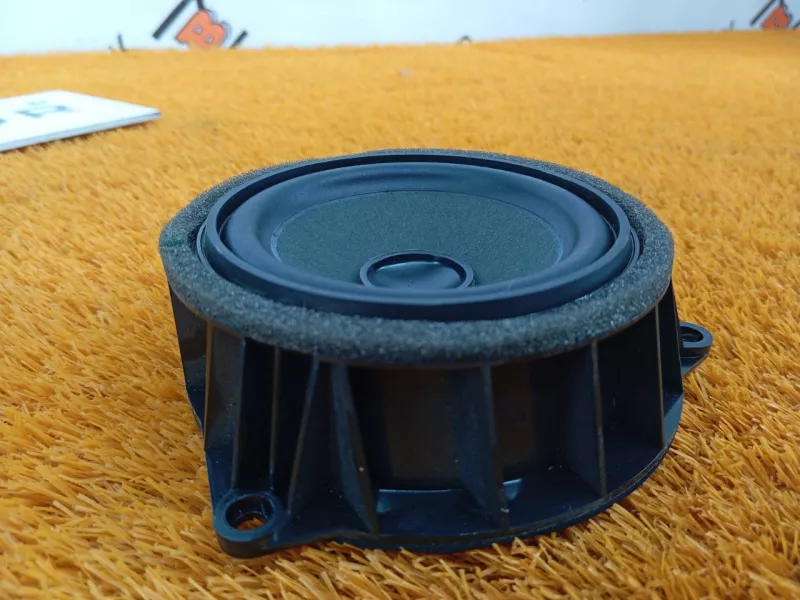 Динамик двери BMW X6 2019 65139286367 2 N57D30A, передний левый