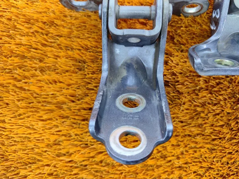 Петля двери