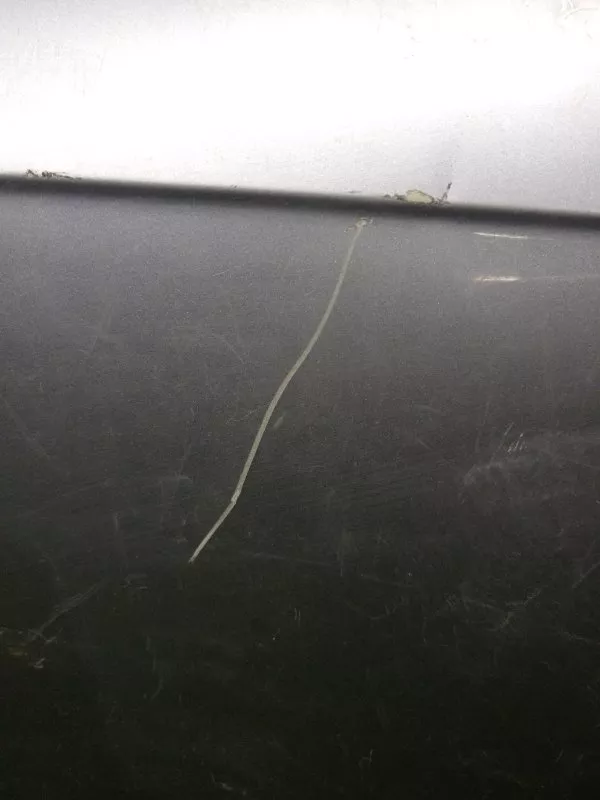 Дверь Audi A4 2005 8E0831052J B7, передняя правая