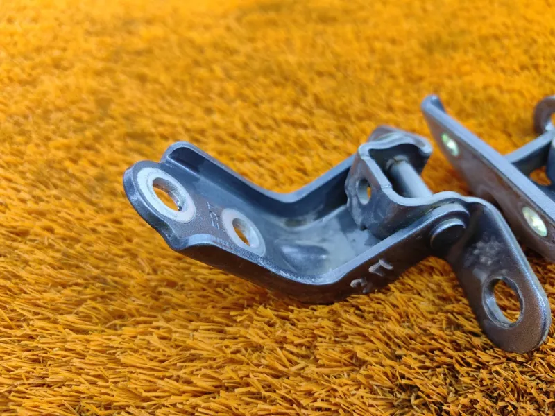 Петля двери