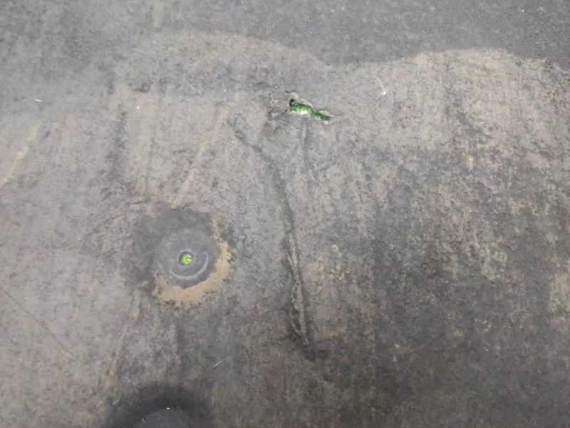 Пыльник ДВС