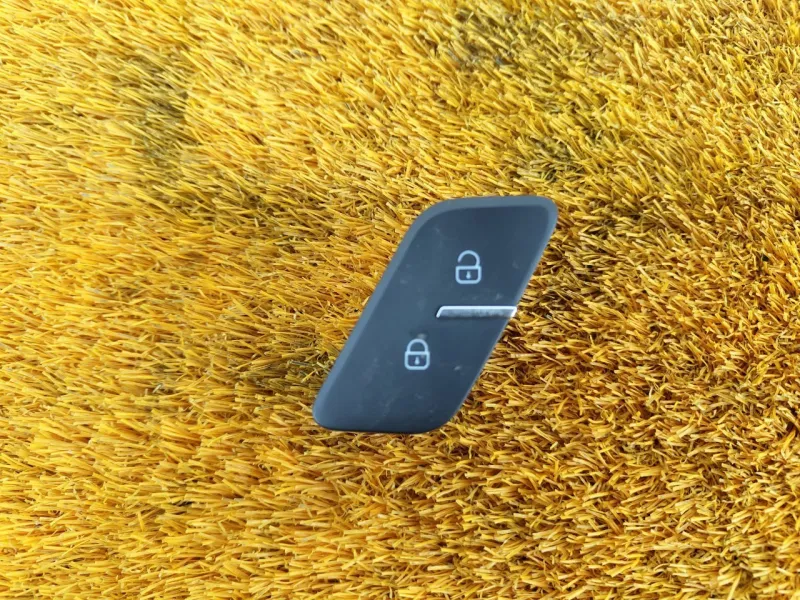 Кнопка центрального замка