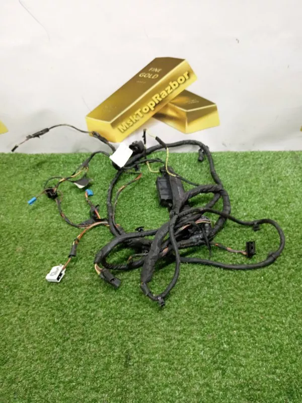 Проводка двери