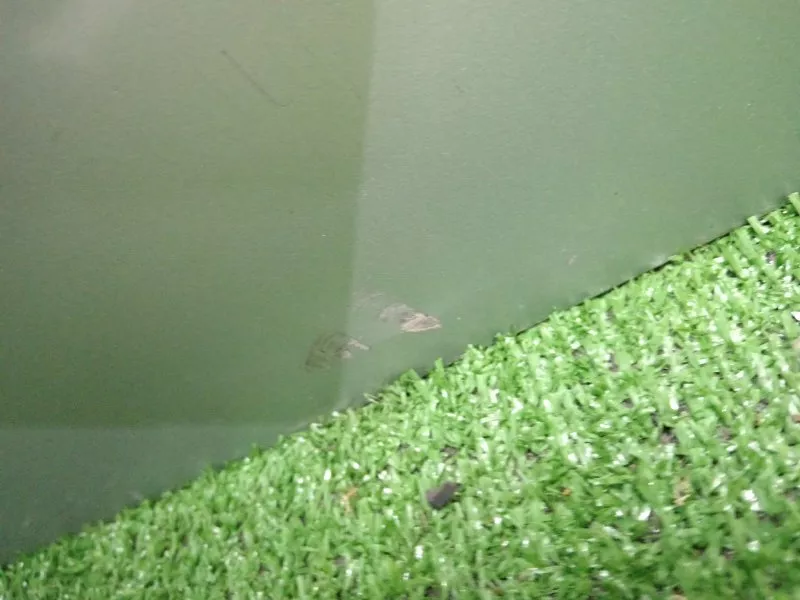 Дверь Audi TT 2002 8N0831052C 8N, передняя правая