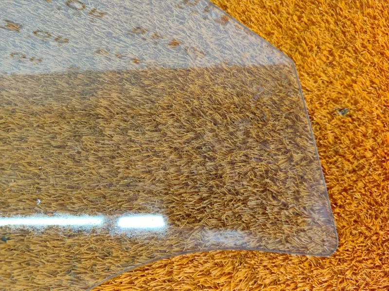 Стекло двери