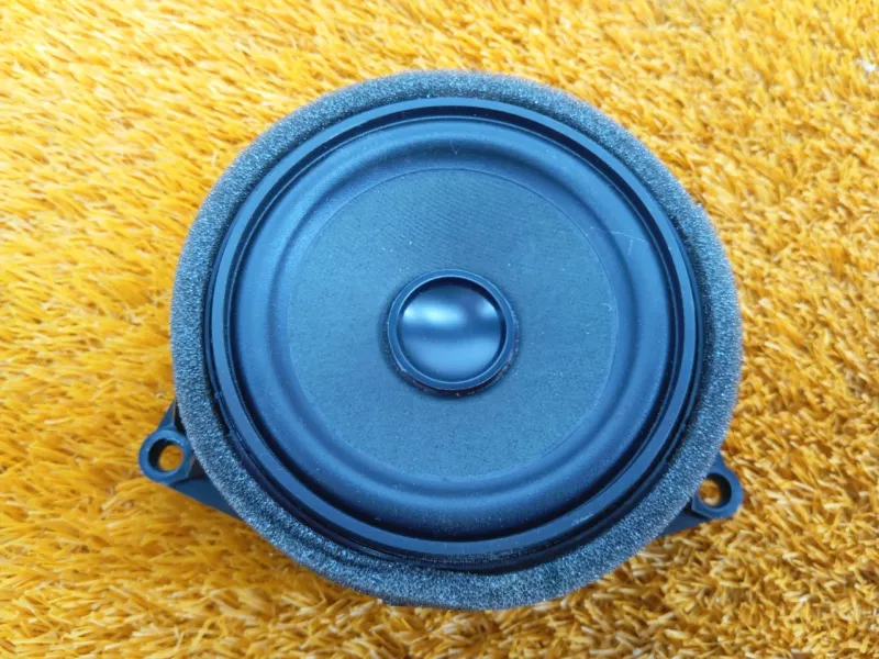 Динамик двери BMW X6 2019 65139286367 2 N57D30A, передний левый