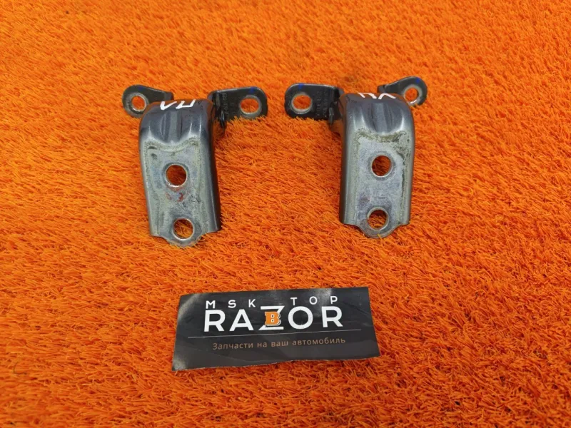 Петля двери