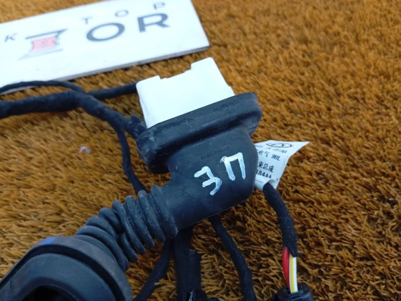 Проводка двери