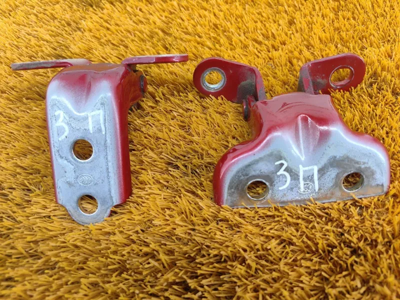 Петля двери