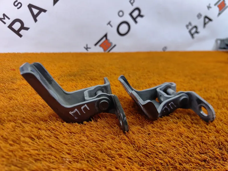 Петля двери