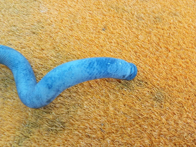 Патрубок системы охлаждения