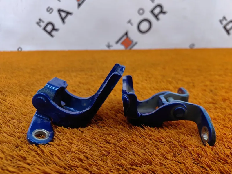 Петля двери