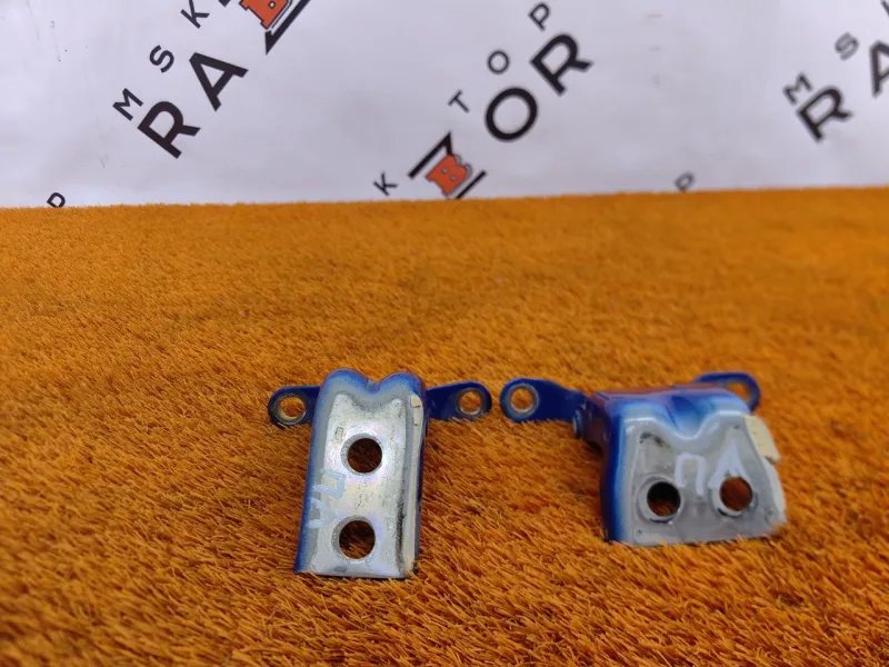 Петля двери