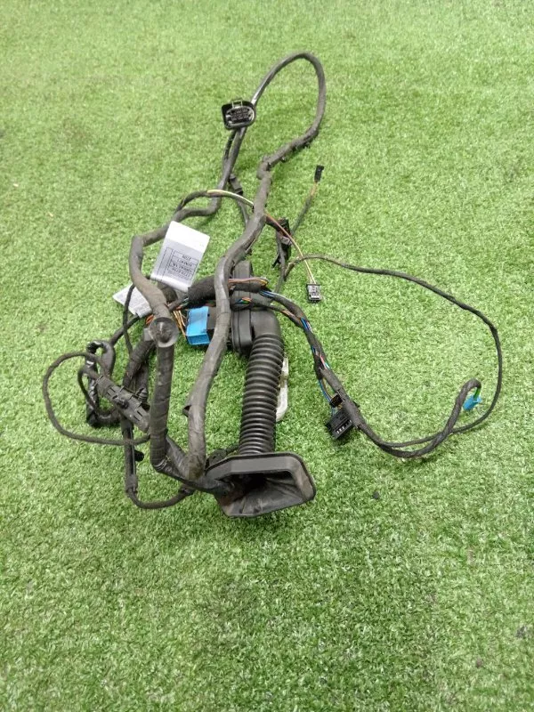 Проводка двери