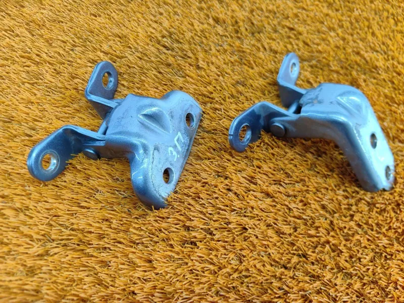 Петля двери