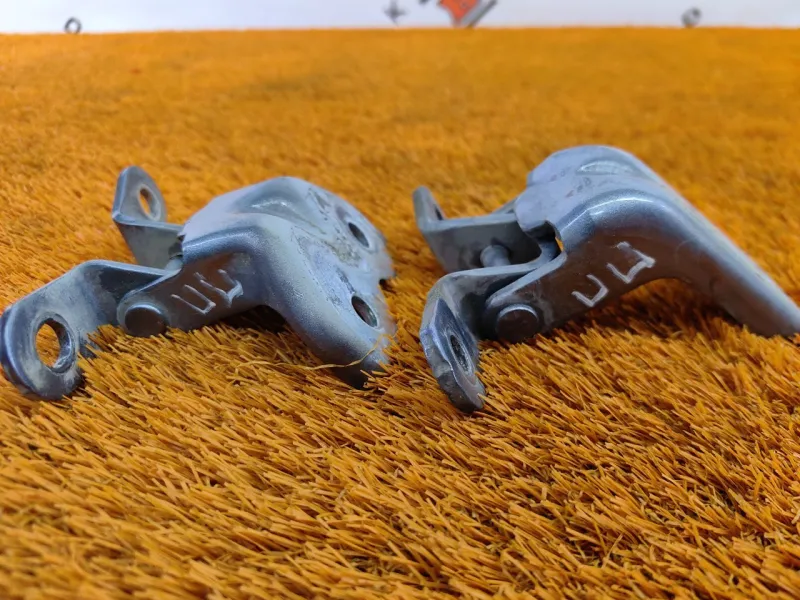 Петля двери