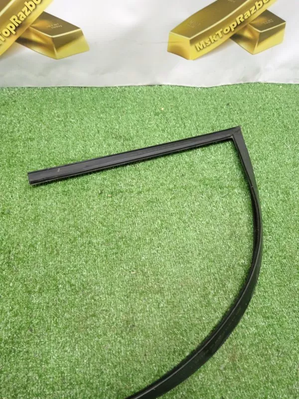 Уплотнитель стекла двери