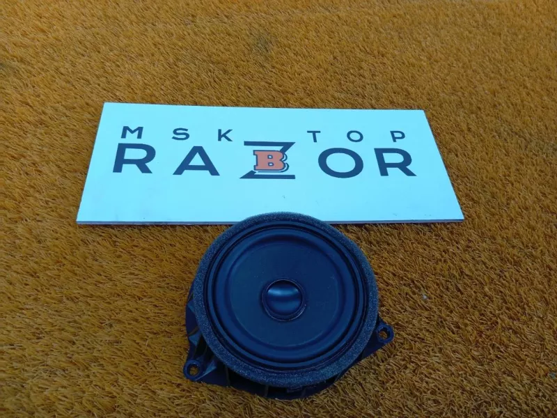 Динамик двери BMW X6 2019 65139286367 2 N57D30A, передний левый