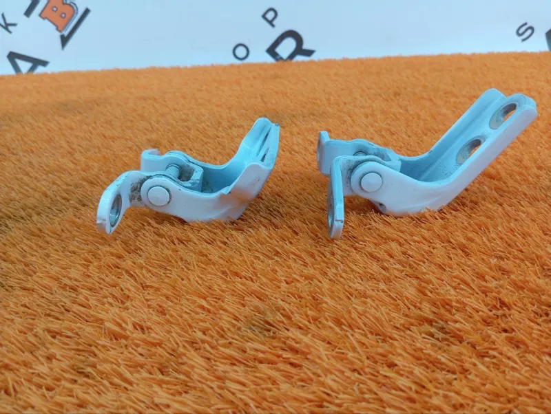 Петля двери