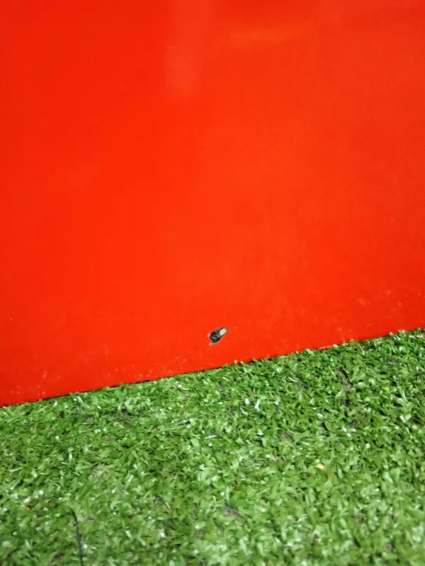 Дверь BMW 6-Series 41517202076 E63/E64, передняя правая