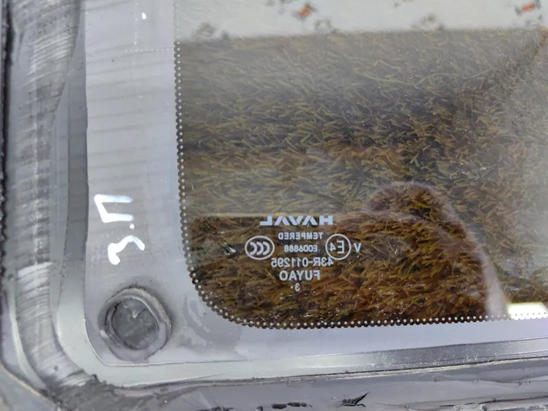 Форточка задняя