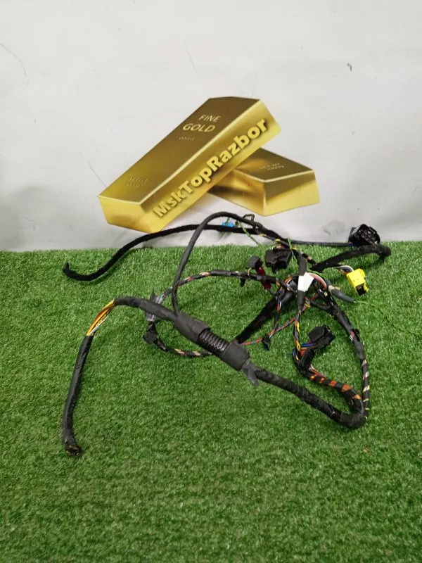 Проводка двери