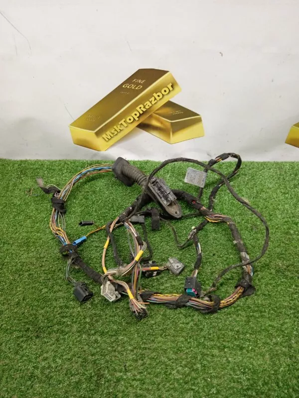 Проводка двери BMW X5 2003 692351101 E53, передняя левая