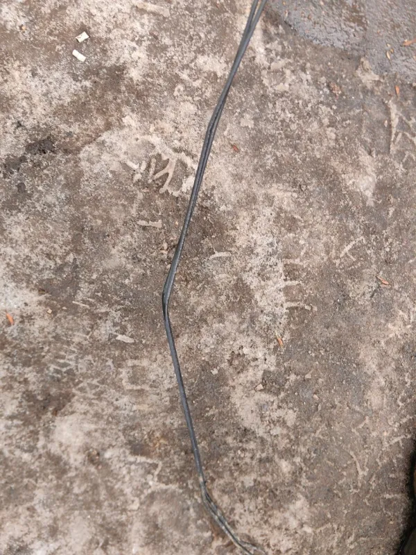 Трубка тормозная